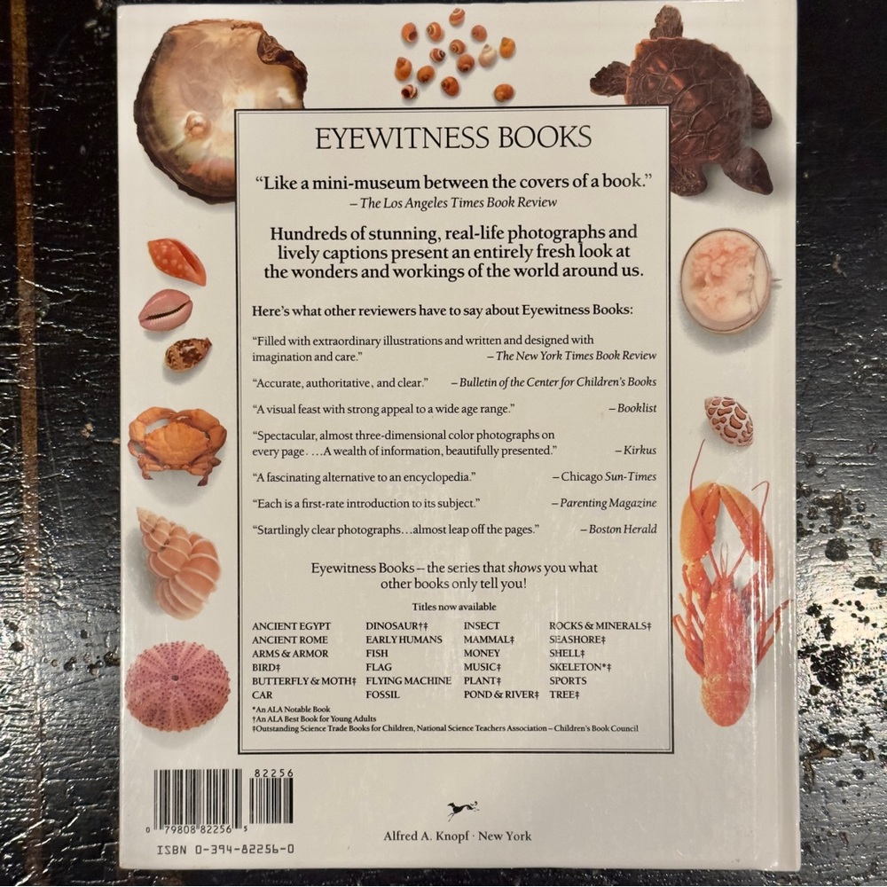 Eyewitness Books “Shell” - Picture 2 of 4
